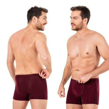 Trumpikės vyrams Ozkan 11897 bordo spalva. 2 vienetai. Trumpikės vyrams Ozkan 11897 bordo spalva. 2 vienetai.
