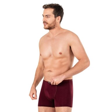 Trumpikės vyrams Ozkan 11897 bordo spalva. 2 vienetai. Trumpikės vyrams Ozkan 11897 bordo spalva. 2 vienetai.